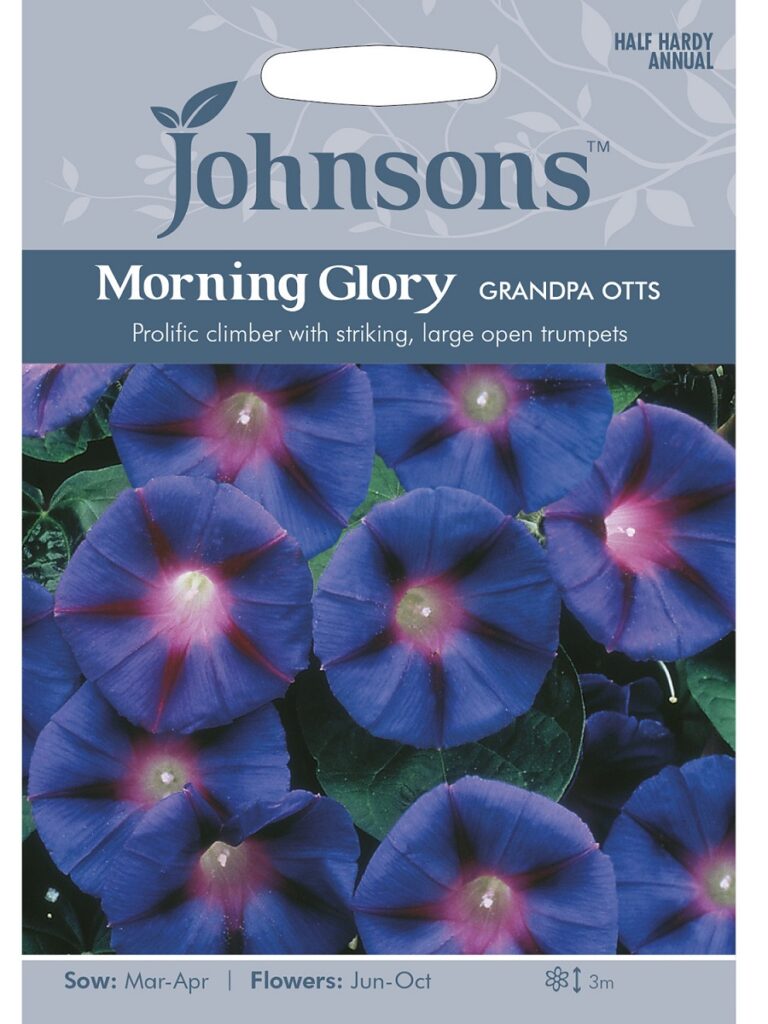 Verev lehtertapp ‘Grandpa Otts’ – Kuuse Aiand