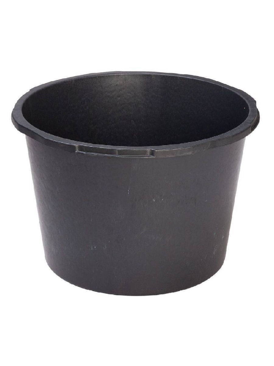 Seguanum