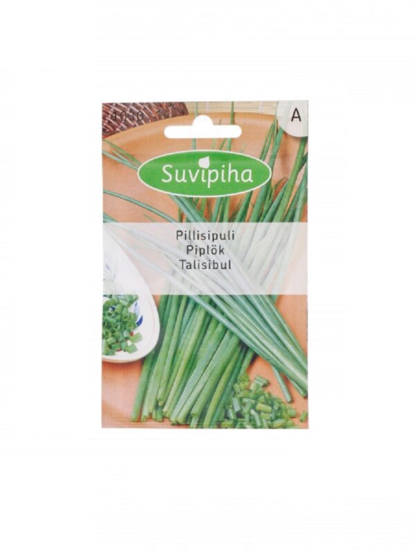 Talisibul, püsik – Kuuse Aiand