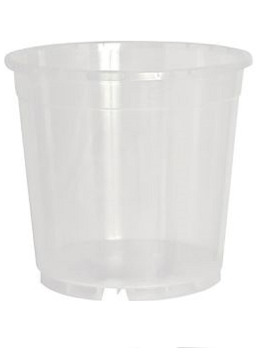 orhideepott läbipaistev