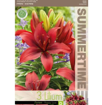 Liilia 'Happy Love'