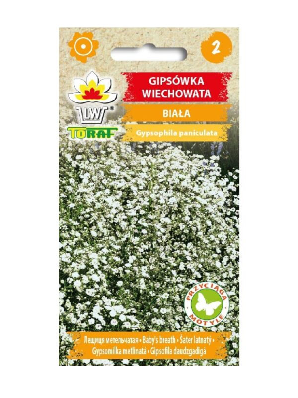 Pööris-kipslill valge – Kuuse Aiand