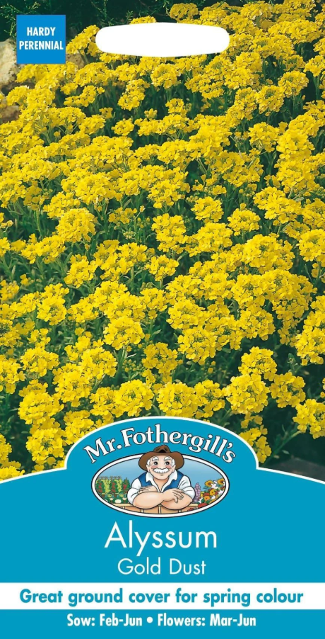 kalju-kivikilbik gold dust