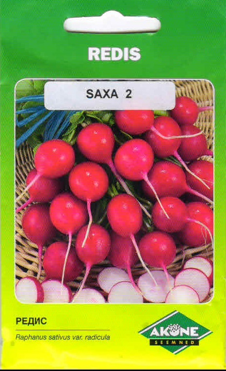redis saxa